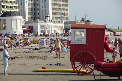 Borkum Ferienwohnung Meerblick Appartement "Schöne Aussichten" - Strandleben vor Haus Seeblick