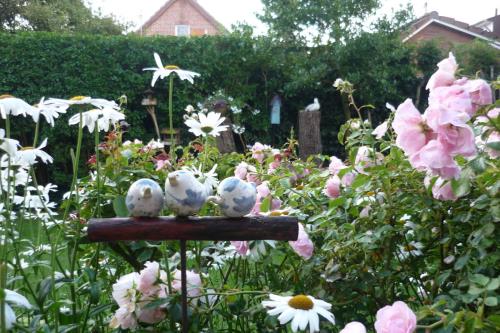 Borkum Ferienwohnung Ferienhaus Kiebitzdelle - 2 - Balkon - Ausstattung 5