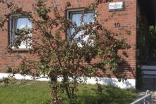 Borkum Ferienhaus Haus Min to Hus