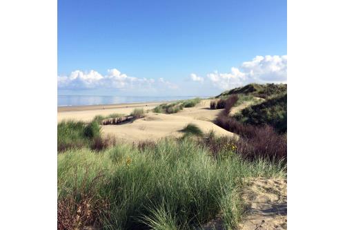 Borkum Ferienhaus Nordseeperle - Dünen2