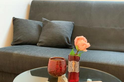 Borkum Ferienhaus Silbermöwe