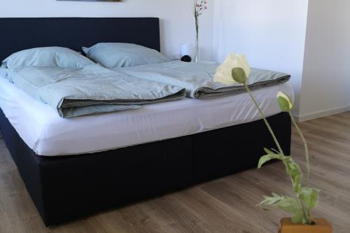 Borkum Ferienwohnung Achterrut Borkum