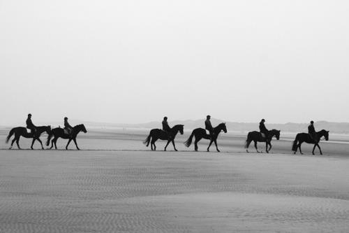 Borkum Ferienwohnung Bohlen-Janßen