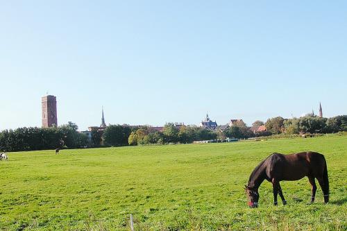 Borkum Ferienwohnung Bruns *** - Umgebung
