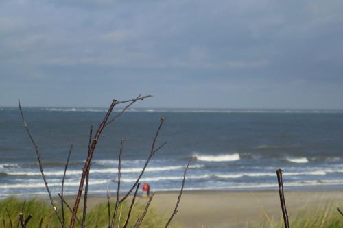 Borkum Haus Seeblick - Ferienwohnung Faupel