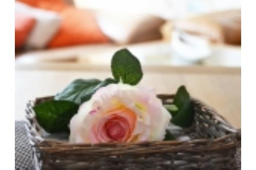 Borkum Ferienwohnung Leuchtturmblick