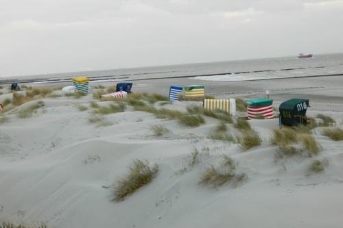 Borkum Ferienwohnung Möwennest III Wohnung 5