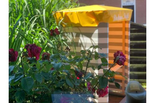 Borkum Ferienwohnung Seestern