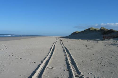 Borkum Ferienwohnung Steife Brise - oststrand