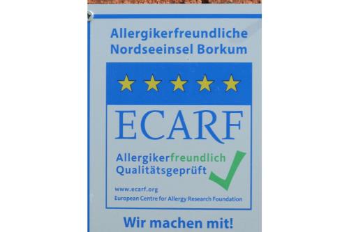 Borkum Ferienwohnung Strandnest