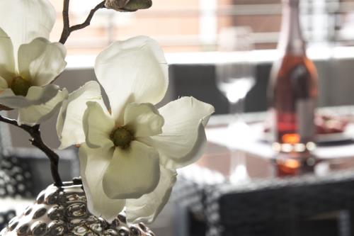 Borkum Ferienwohnung Anton am neuen Leuchtturm