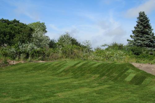 Borkum Ferienwohnung Küch&#39;s Captains-House