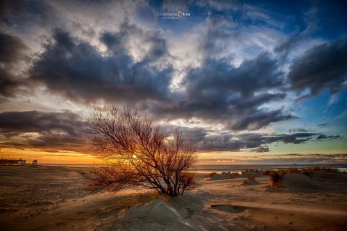 Borkum Ferienwohnungen Nordseegrill - 25189095 1650729581652483 18070361348411