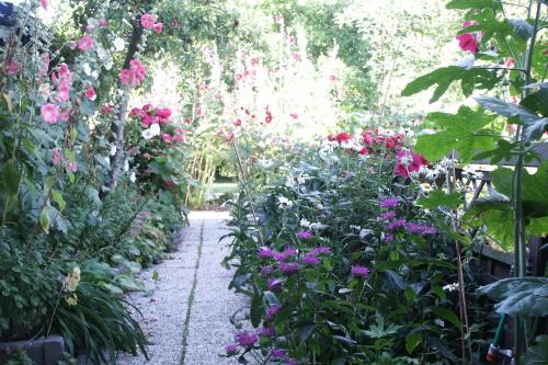 Borkum Ferienwohnungen Weiß - Gartenweg Ostseite