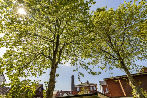 Borkum Ferienwohnung Jantje / Haus Leuchtturmkieker - Blick  auf den Neuen Leuchtturm