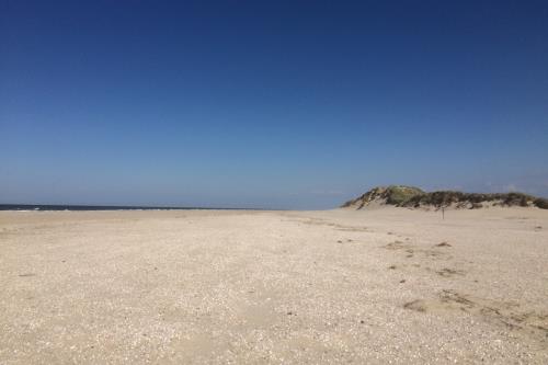 Borkum Haus Norderoog Ferienwohnungen Hindenburgstraße 56 - Borkum - Nordstrand incl. FKK-Strand