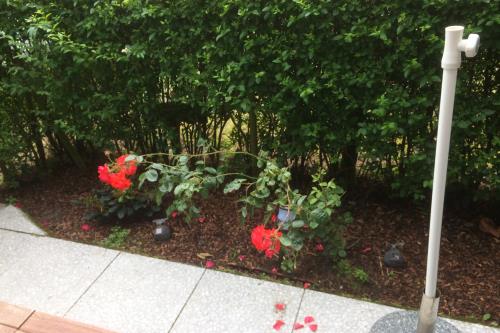 Borkum Haus Norderoog Ferienwohnungen Hindenburgstraße 56 - Nr.1 - Terr. + PKW-Stellplatz - Whg.1 - Terrassenbereich