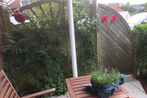 Borkum Haus Norderoog Ferienwohnungen Hindenburgstraße 56 - Nr.1 - Terr. + PKW-Stellplatz - Whg.1 - Terrassenbereich