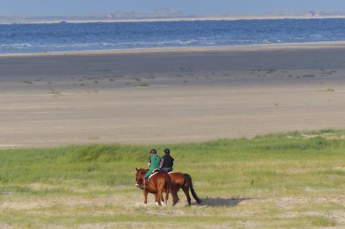 Borkum Ferienwohnung Haus Norderoog - Reitausflüge am Strand