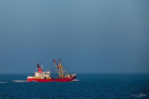 Borkum Ferienwohnung Haus Pop