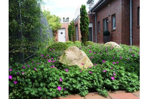 Borkum Ferienwohnung Scheukelanders - Wohnung 1