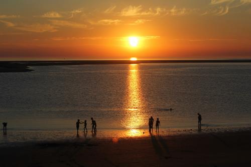 Borkum Ferienwohnung Seehundsbank