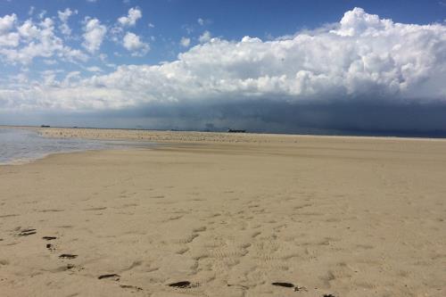 Borkum Ferienwohnung Seehundsbank - Ausstattung 1