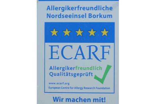 Borkum Ferienwohnung TestWohnung feondi