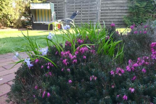 Borkum Ferienhaus Ferienhäuser Herrlich - Herrlich 31 - strandkorb