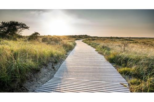 Borkum Ferienwohnung Dat Mutt