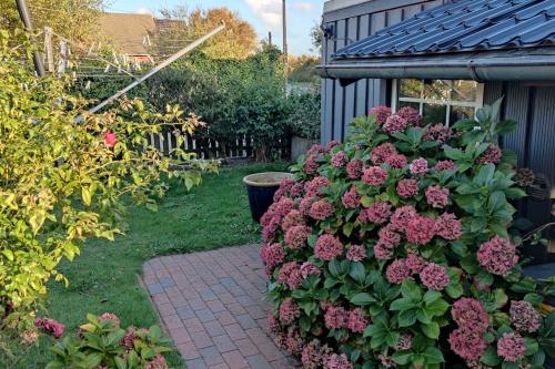 Borkum Ferienwohnung Dünenliebe