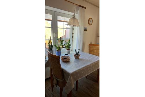 Borkum Ferienwohnung Haus Stefanie