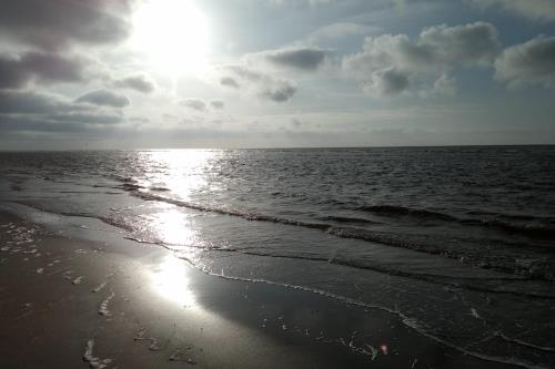 Borkum Ferienwohnung Ahoi - Typisch Borkum