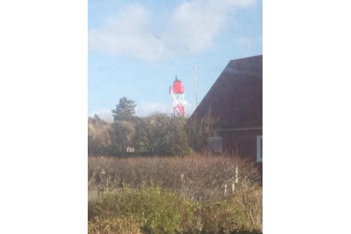 Borkum Ferienwohnung RosenRot am Meer 1