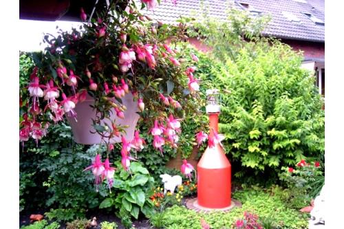 Borkum Ferienwohnung Steemann Gr.