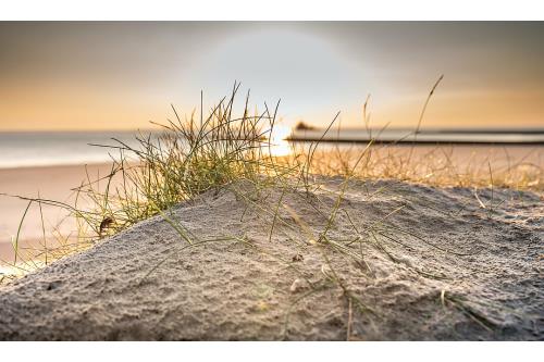 Borkum Ferienwohnung Watt Mutt