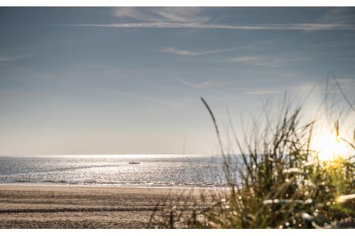Borkum Ferienwohnung Watt Mutt
