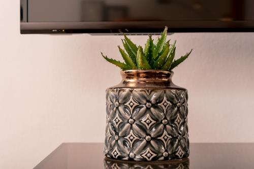 Borkum Ferienwohnung Charlotte