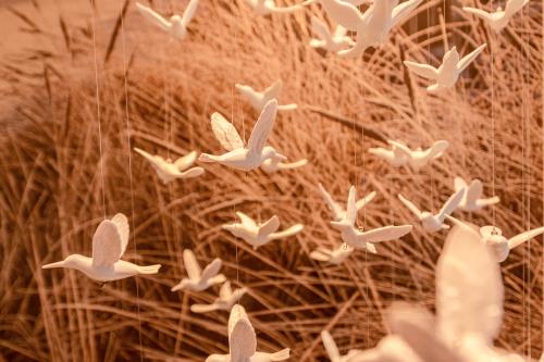 Borkum Ferienwohnung Konstanze