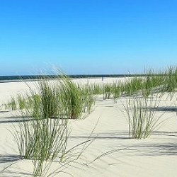 AHOI – FASTENWANDERN AUF BORKUM