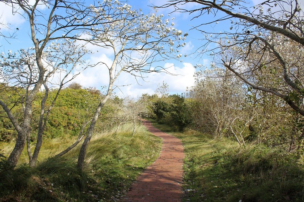 Greuen Stee - Wanderweg