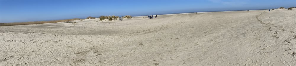 Strandwanderungen auf Borkum